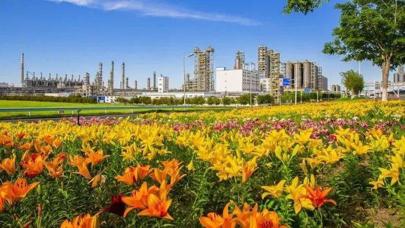 工业添加剂储存，跟普通化学品根本不是一回事