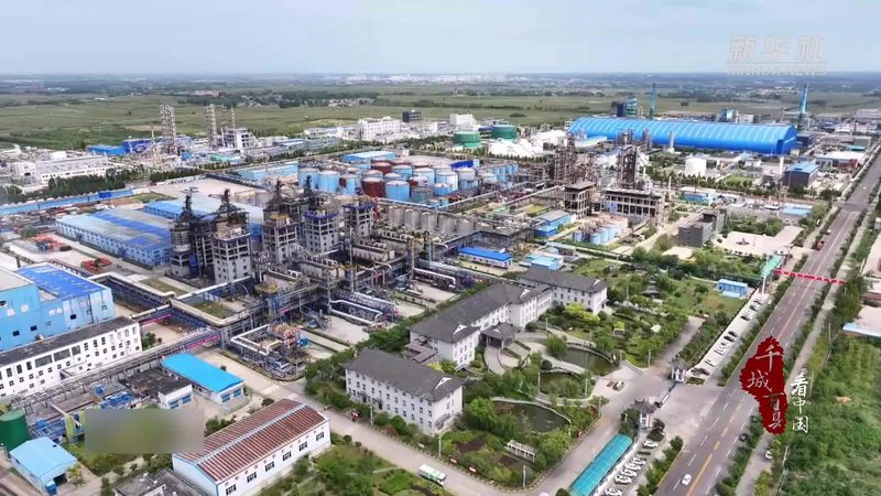 专业色母粒代加工：资质要求解析与合规要点