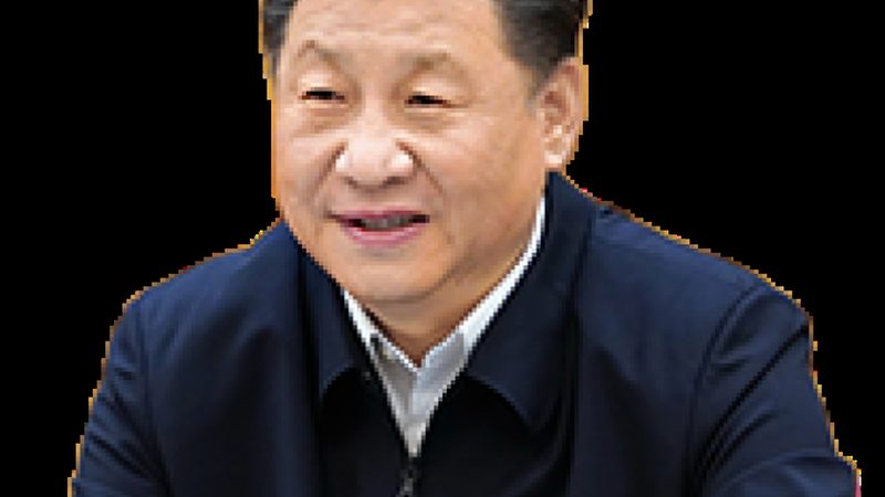 农用精细化工产品：批发报价背后的技术考量**